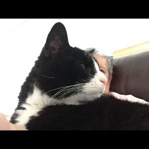 Meet your Posher, Bonnie